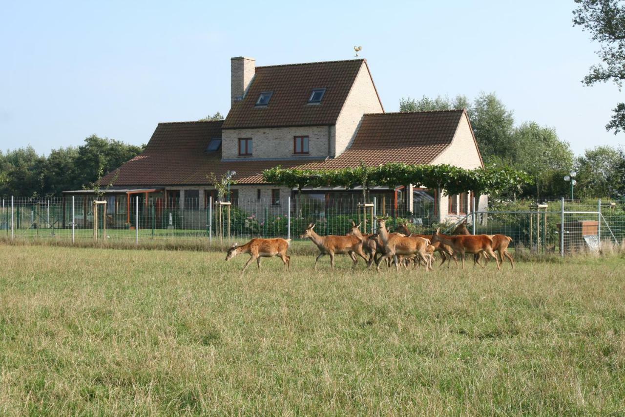 'T Leeg Huys Villa Lo-Reninge Exterior photo